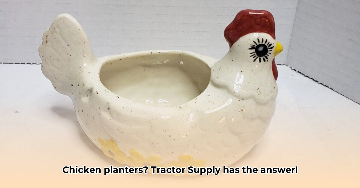 chicken-planter-tractor-supply
